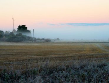 hitta-balansen-dimma