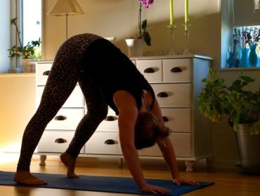 hunden-yoga2-e1445797989119
