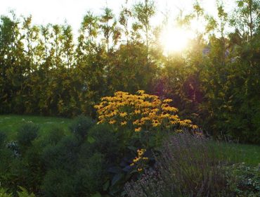 ljuvliga-sommarkvallar-1