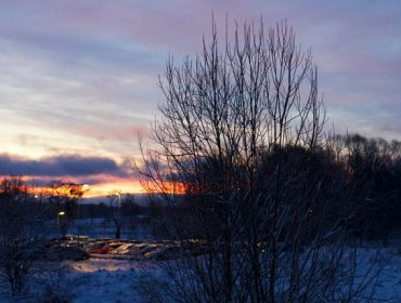lucia-morgon-1