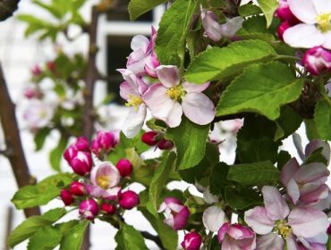 medan-jag-var-sjuk-2