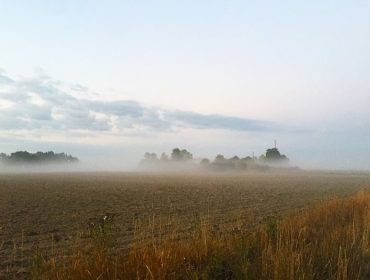 morgonlopning-dimma-1