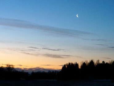 morgonpromenad-e1454601839620