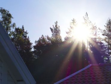 morgontraning-1