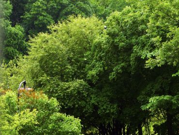 regnig-sommardag-aktiviteter