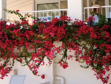 restaurangen-e1441652591525