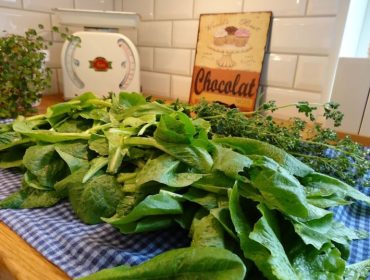 sallad-C3-B6rter-och-tacos-1-