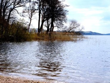 skona-maj-5-e1462126922903