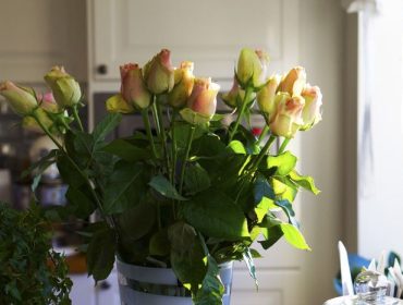 snittblommor-1