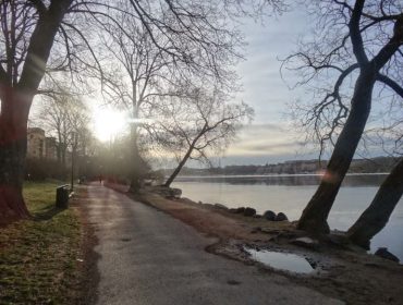 solig-morgonpromenad-1-