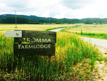 stromma-farmlodge-sommarcafe-butik-1