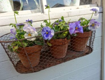 tr-C3-A4dg-C3-A5rdsdags-4-