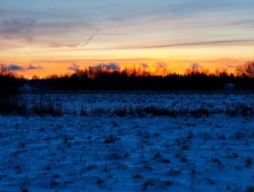 transportlopning-eftermiddagssol-e1452802089196