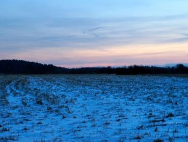 transportlopning-eftermiddagssol2-e1452802199593