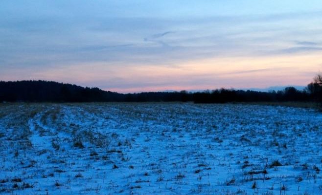 transportlopning-eftermiddagssol2-e1452802199593