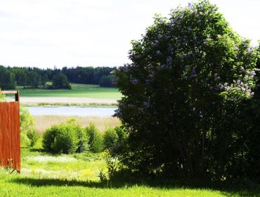 typisk-svensk-sommar-2