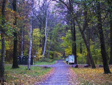 tystnad-promenad-1