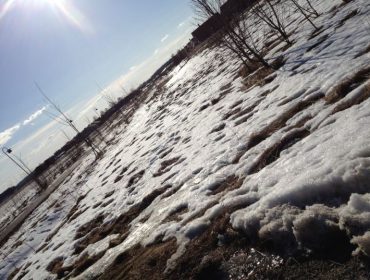 v-C3-A5rk-C3-A4nslor-1-