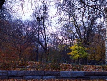 veckans-basta-humlegarden-1