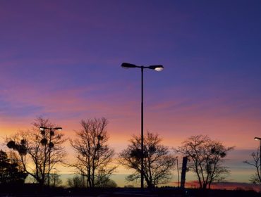 veckans-basta-januarimorgon-1