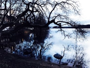 veckans-basta-lopning-djurgarden-1