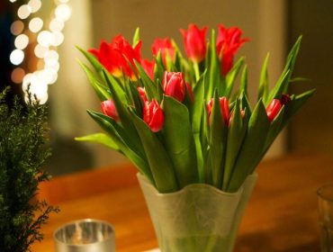 veckans-basta-tulpaner-1