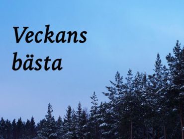 veckans-basta-vinter-1