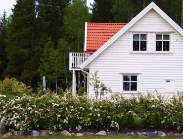 veckans-plan-spirea-1