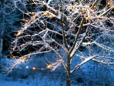 vinterland1-e1452540111217