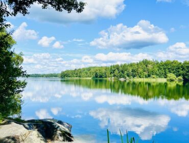 Veckans bästa från första barnveckan