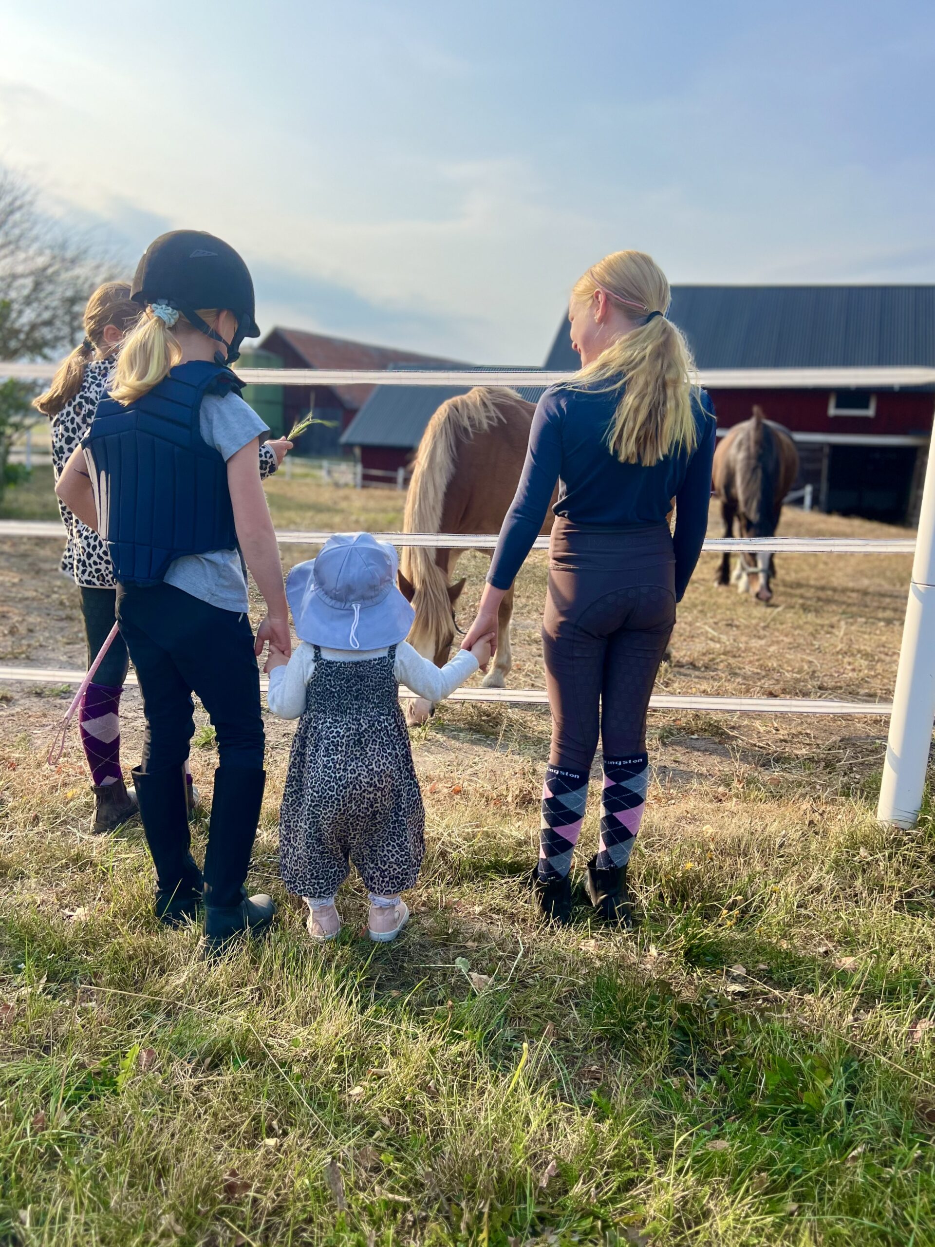 IMG_4641-scaled - den varma sensommarveckan