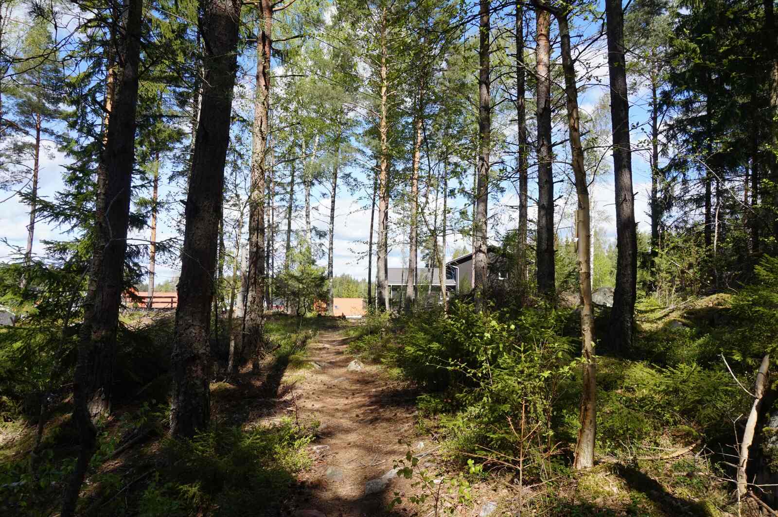 Skogen (27)