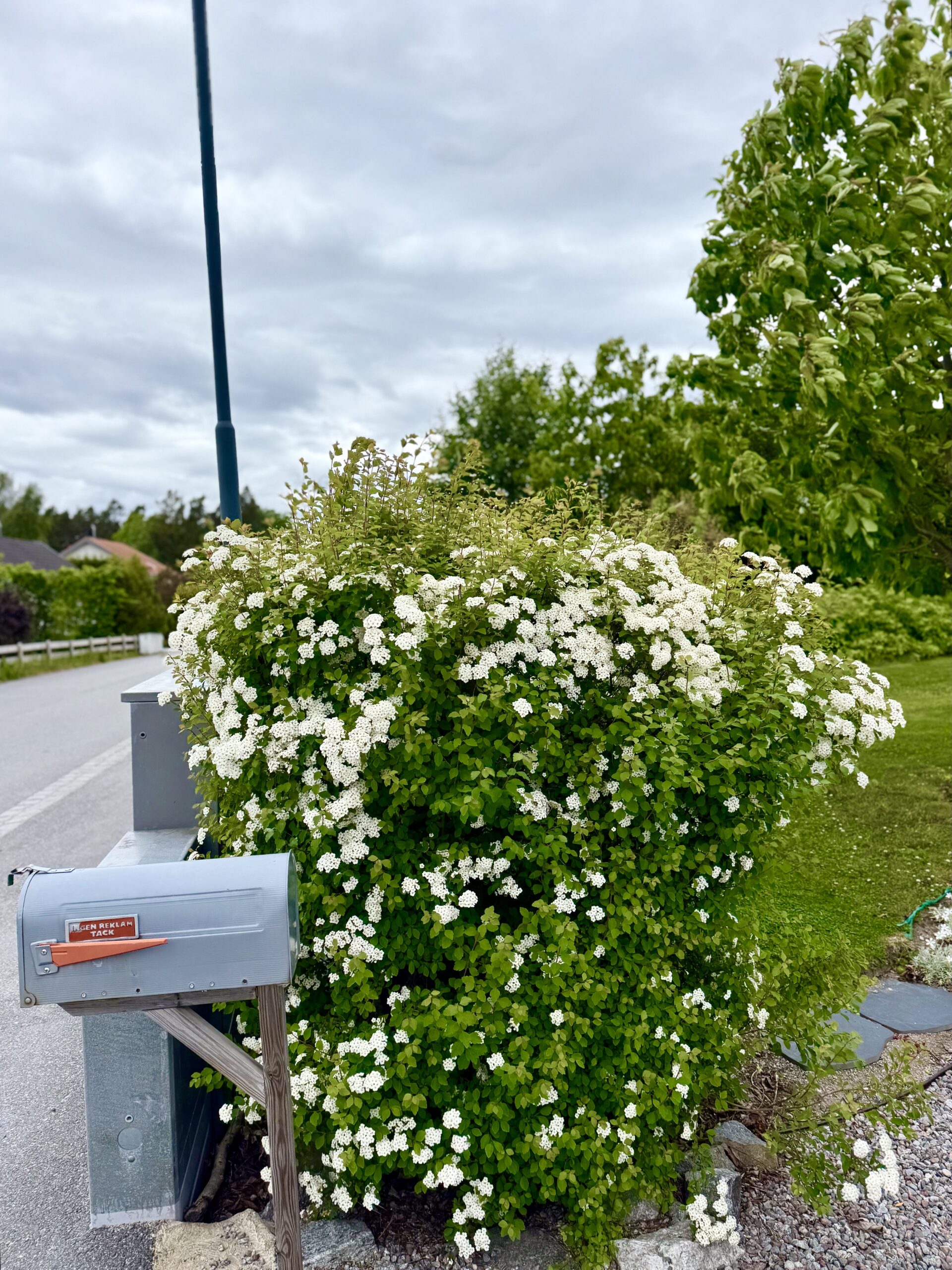 Sommarlovsveckan 2025