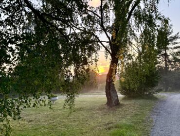 Sensommarveckan