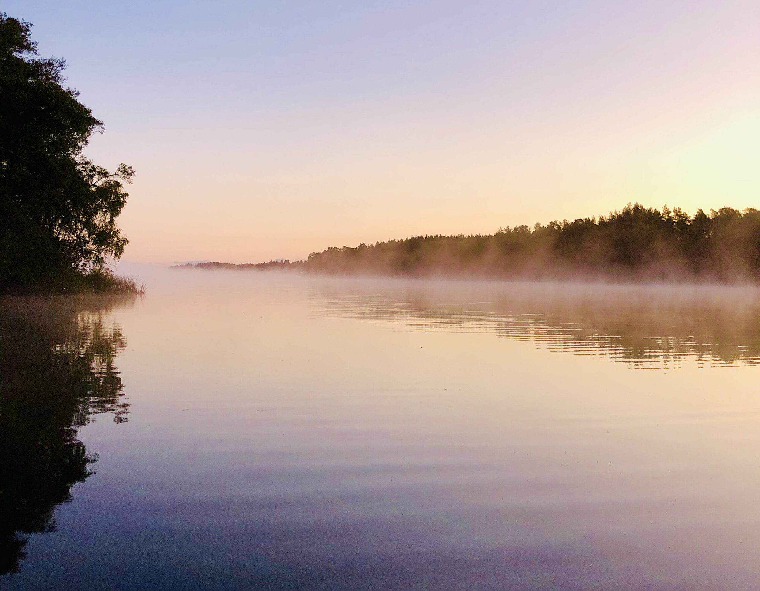 Ord om att fylla år