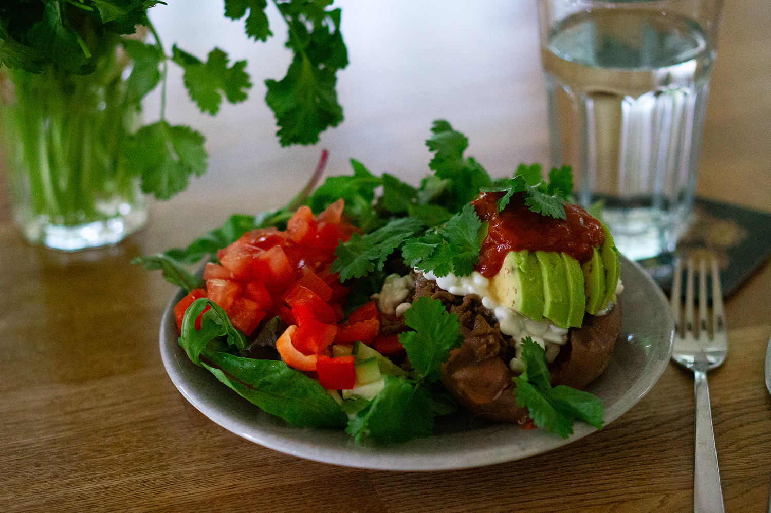 Bakad sötpotatis med tacofärs, keso, avokado och koriander