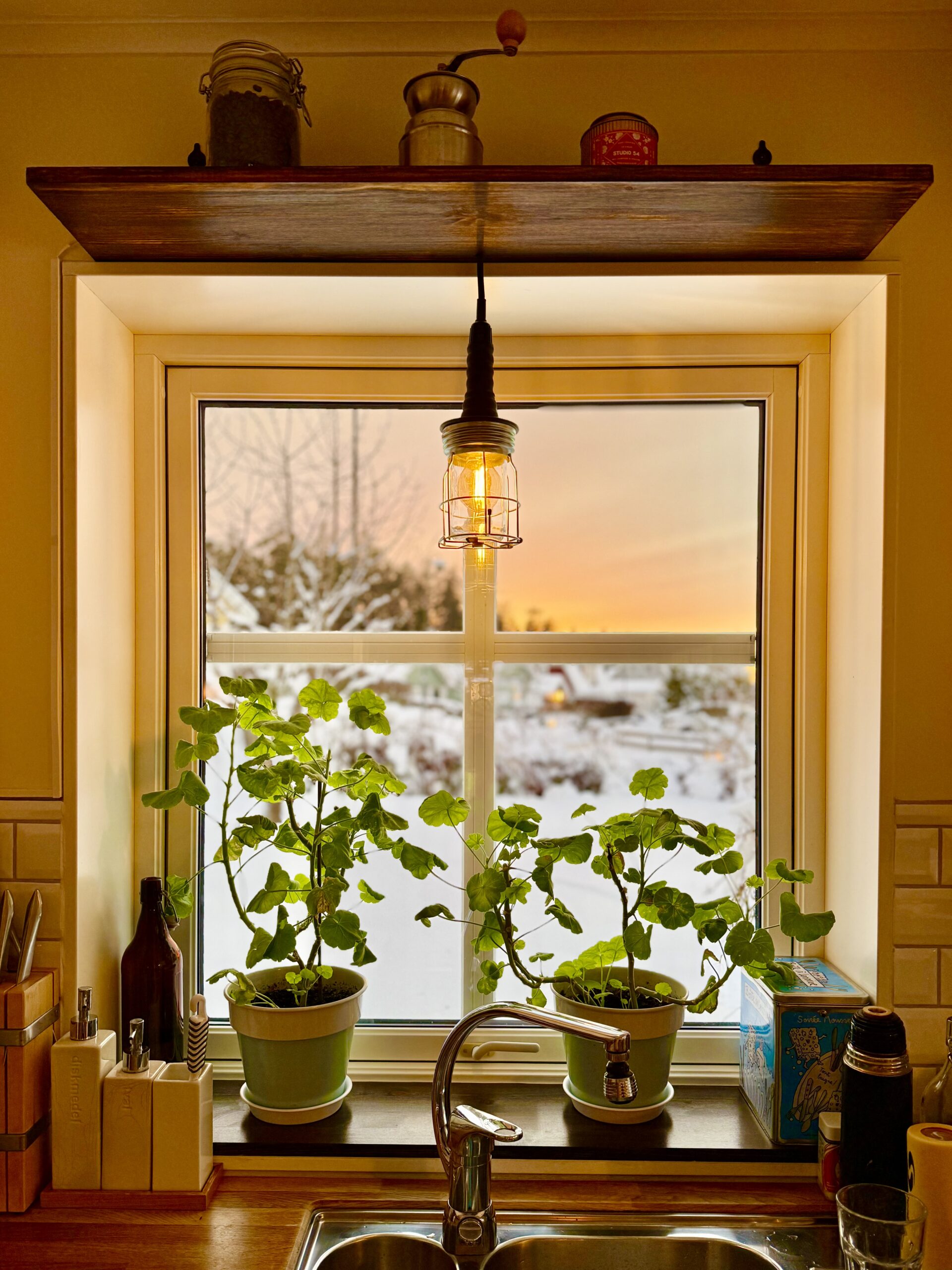 Veckans bästa från första jobbveckan 2026