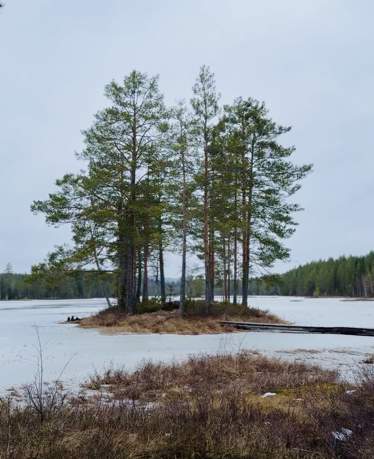 Tid för tystnad - på landet i Dalarna