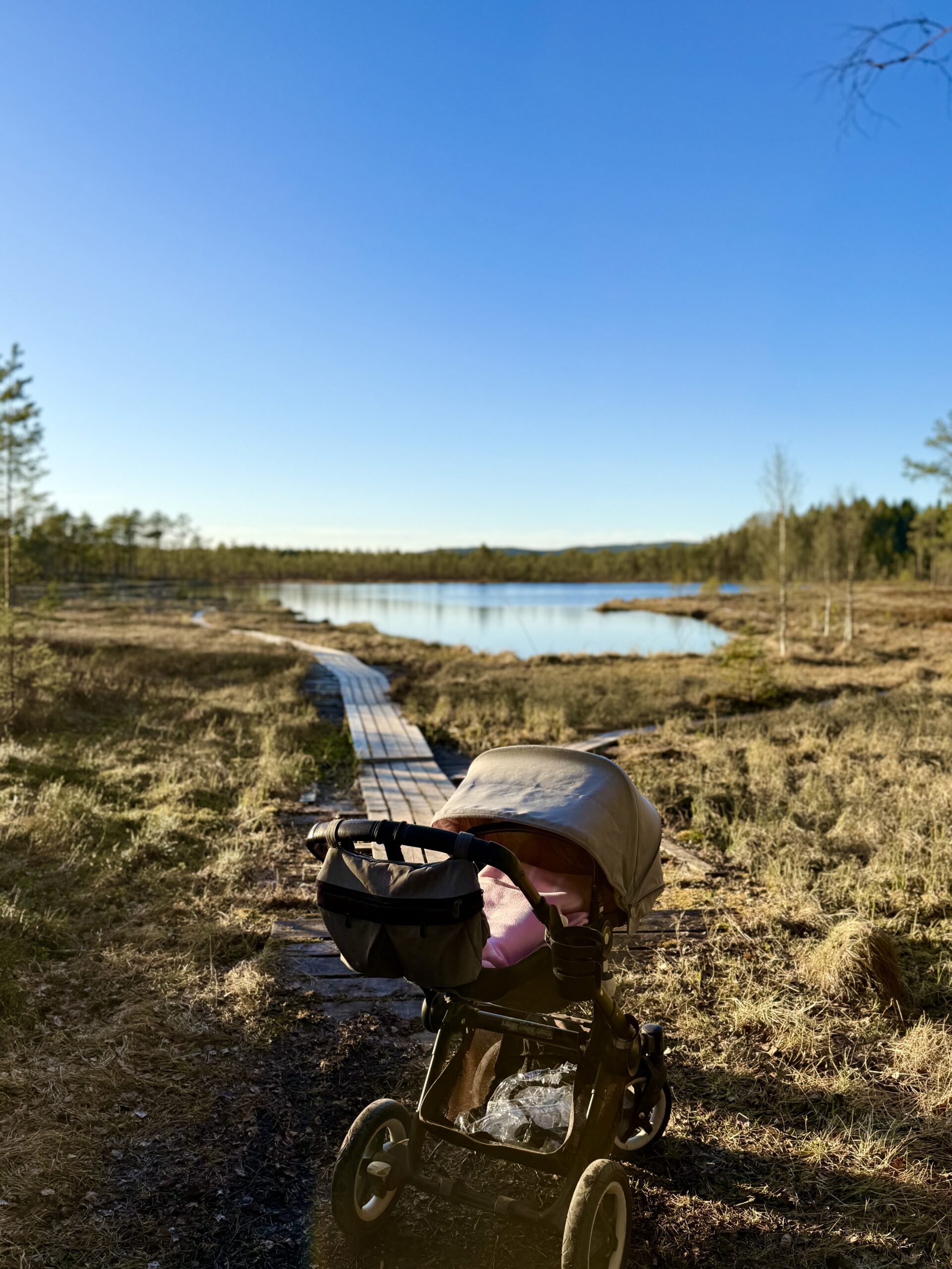 Valborgsveckan