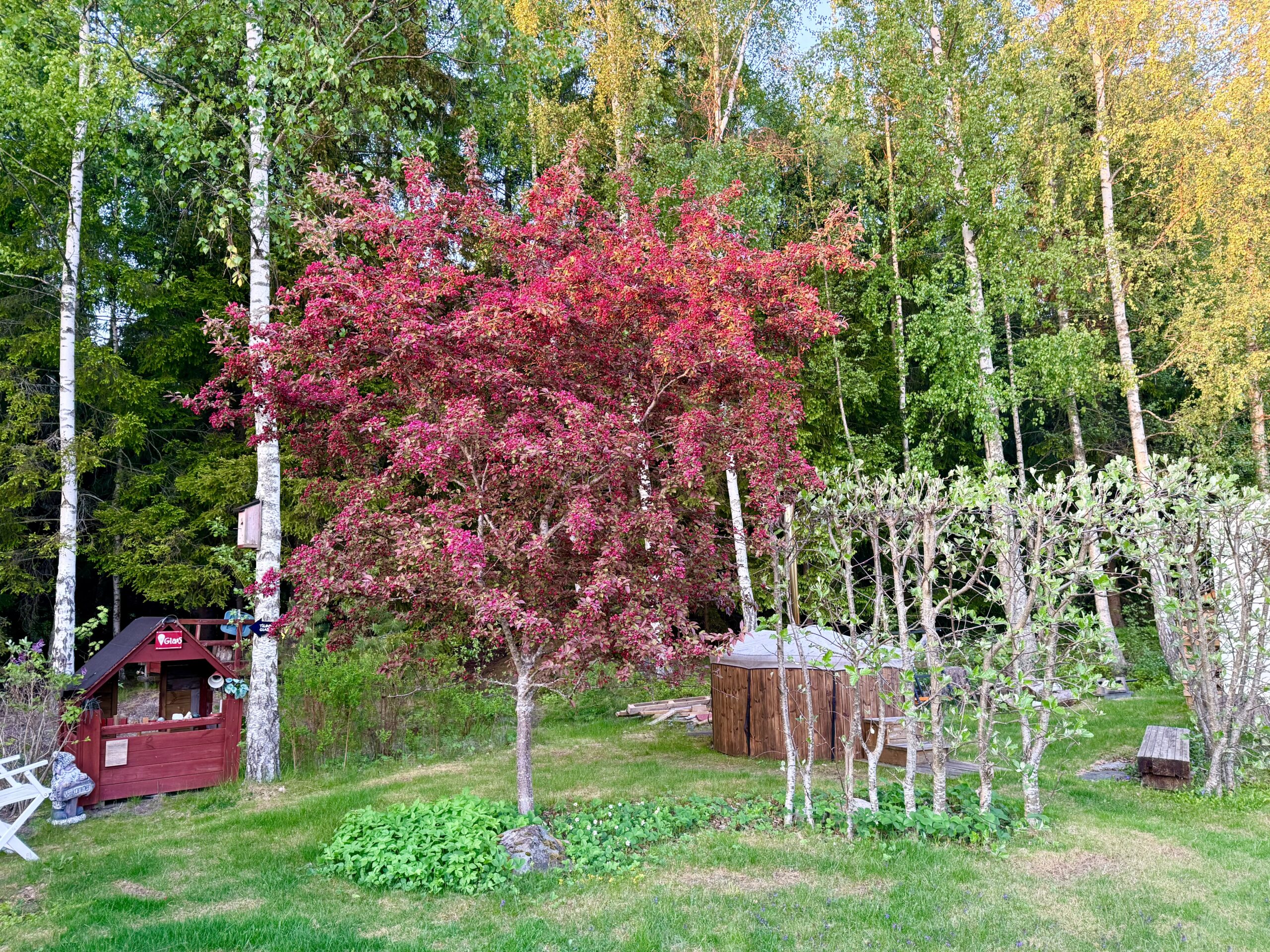 Spring-i-benen-veckan