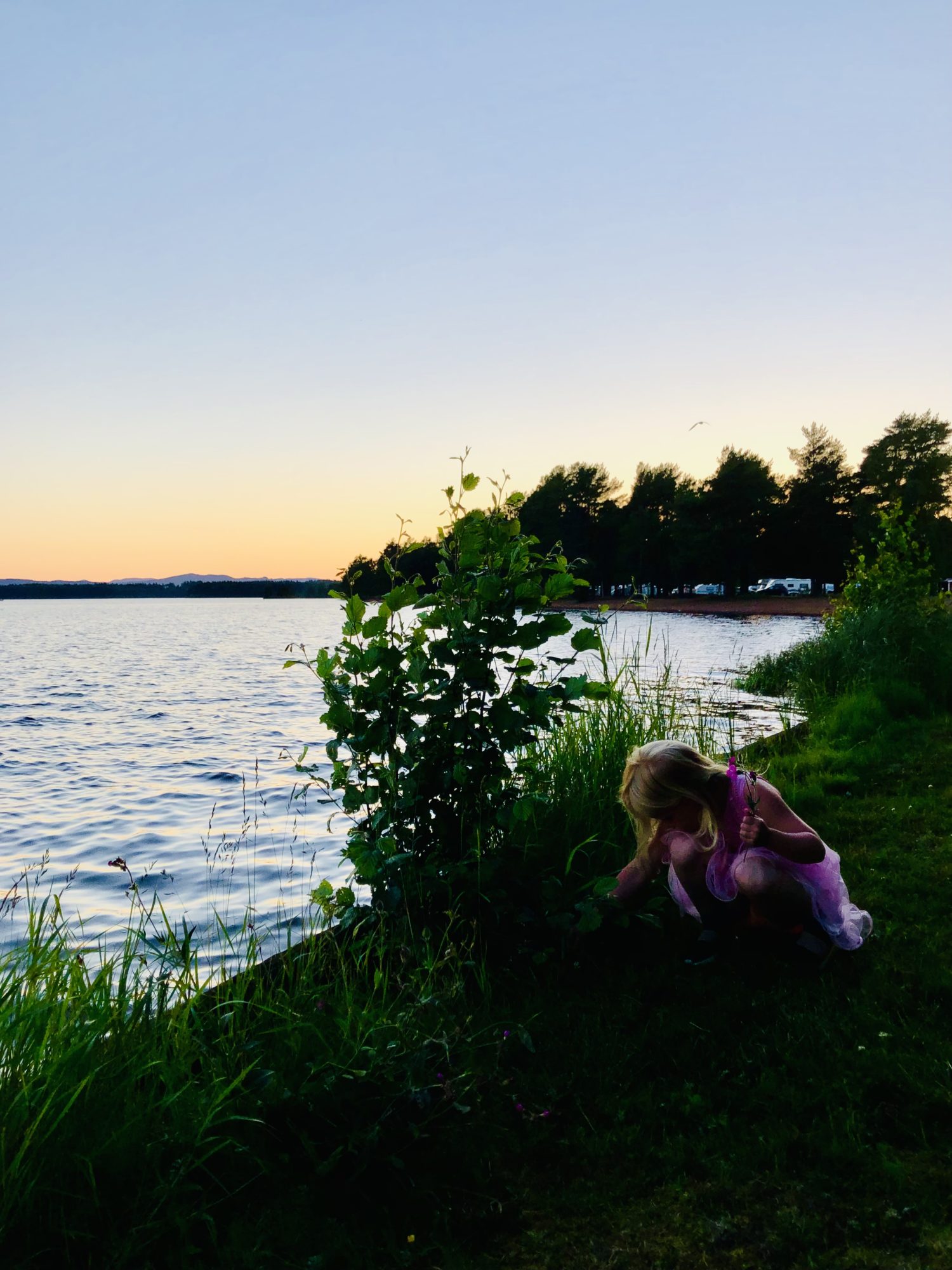 Orsa camping