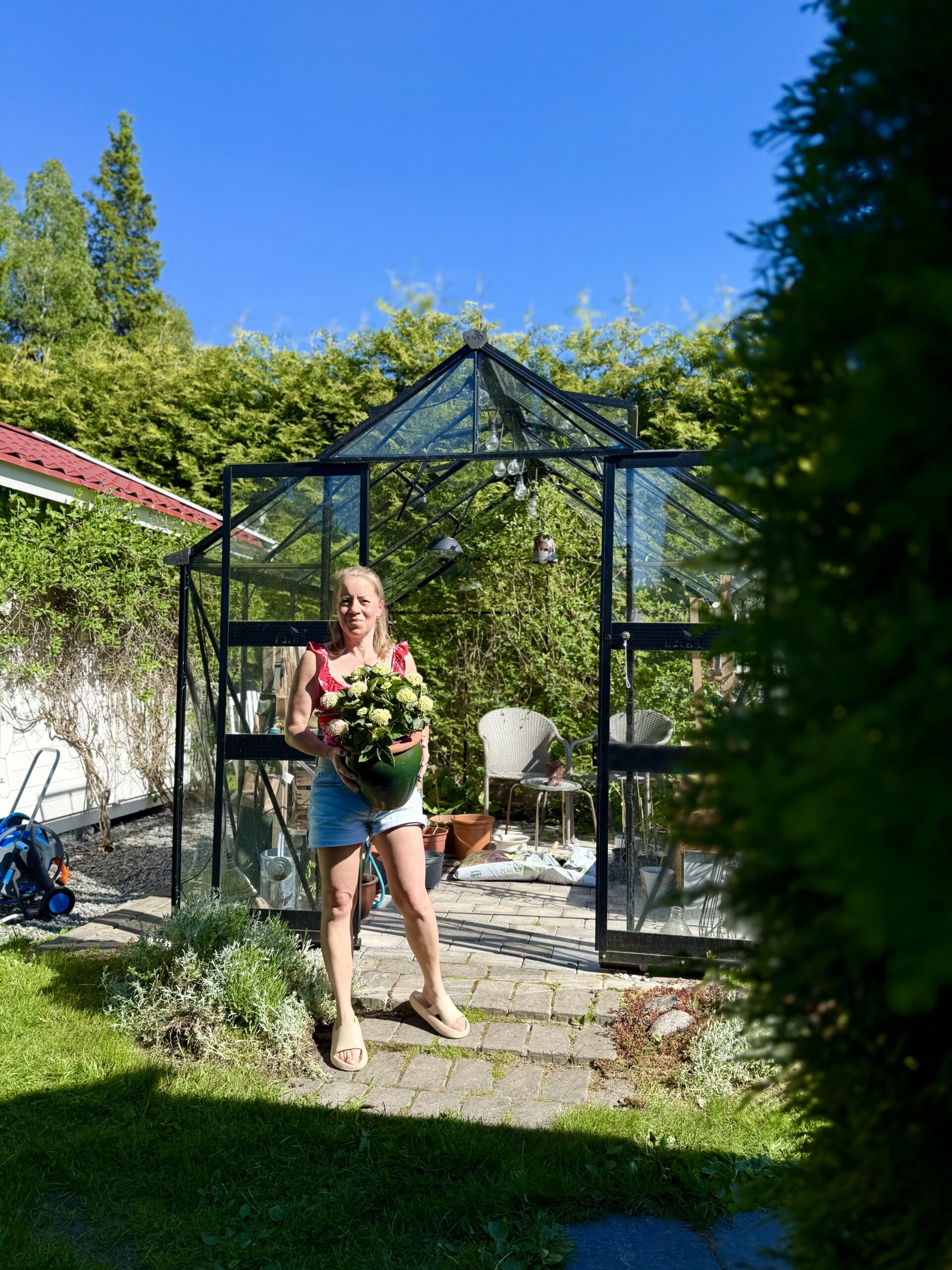 Mammalivet i Sverige