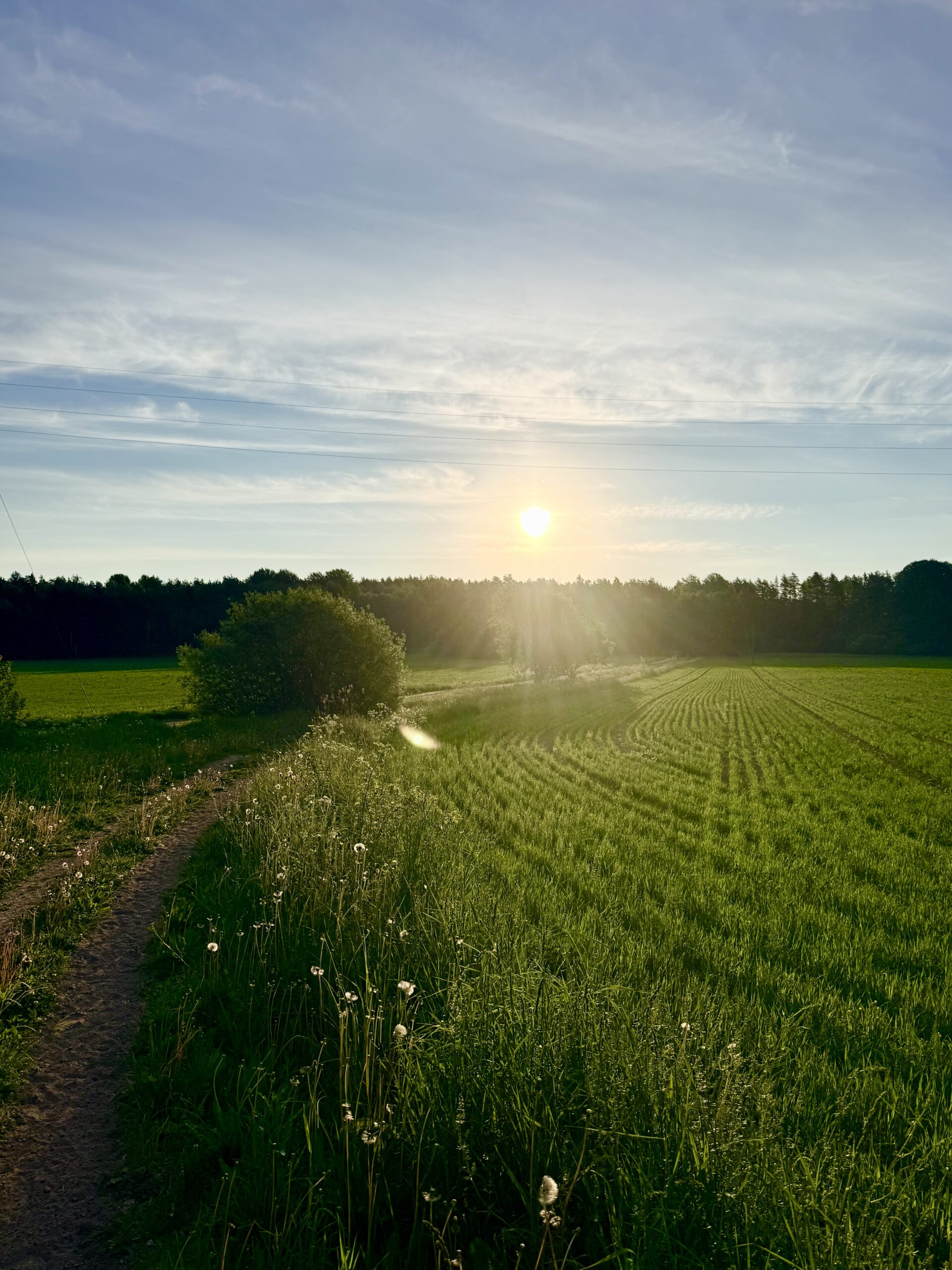 Vacker natur