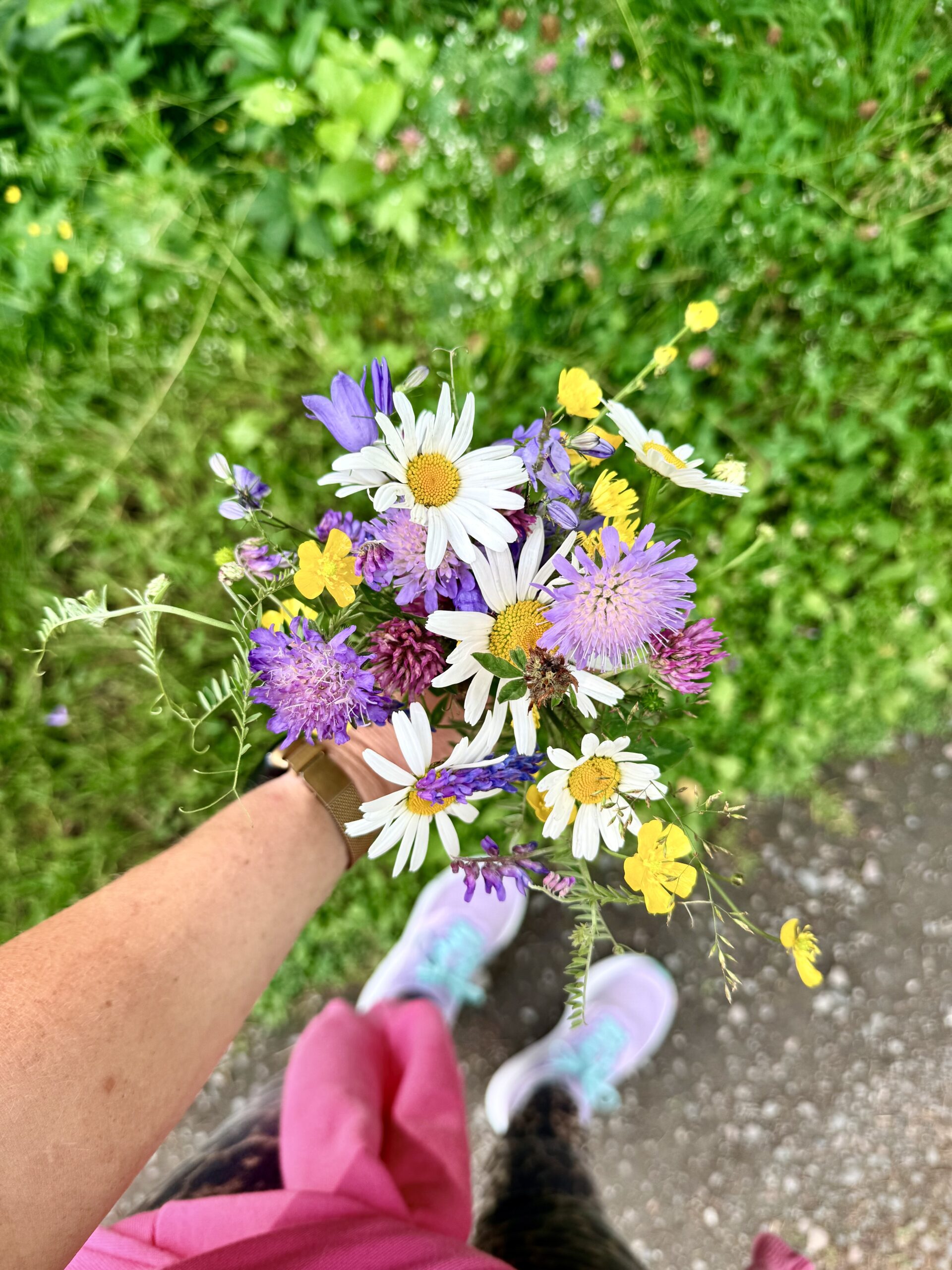 Sommarpaus blommor